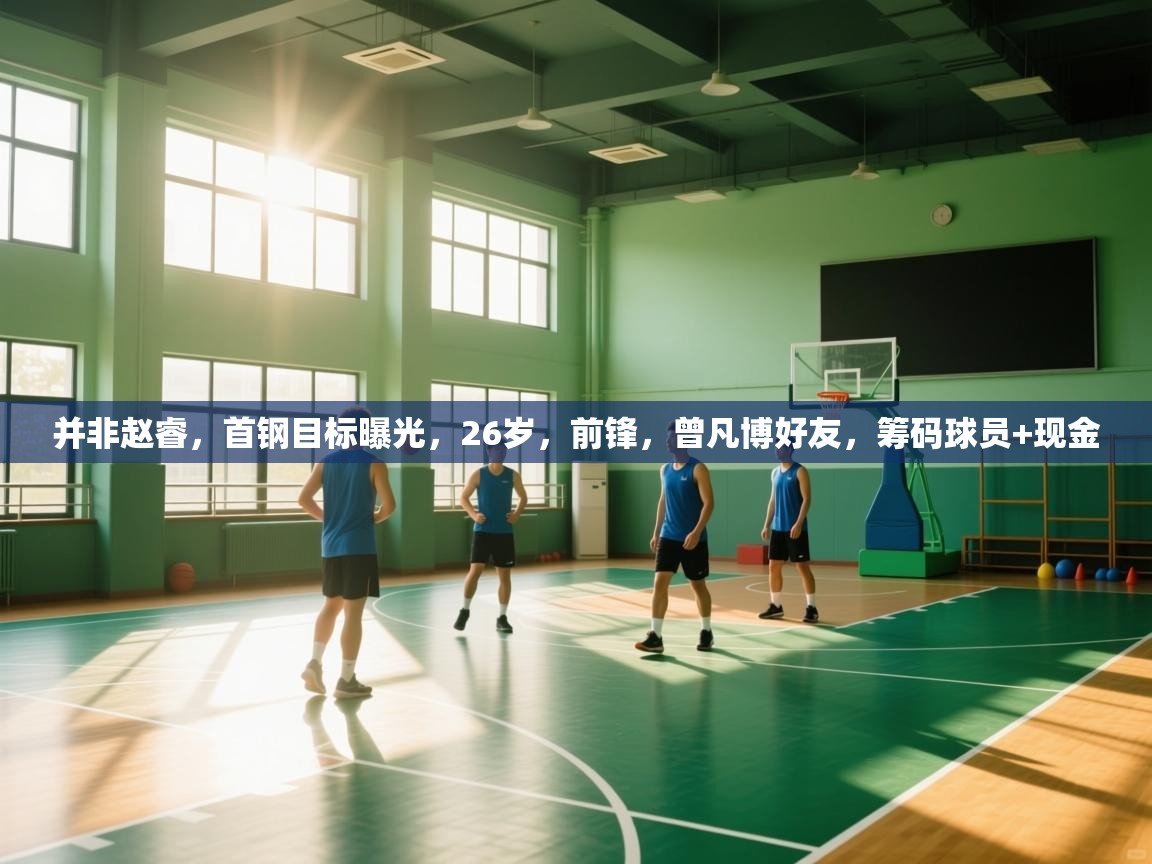 爱游戏体育app-并非赵睿,首钢目标曝光,26岁,前锋,曾凡博好友,筹码球员+现金 第2张