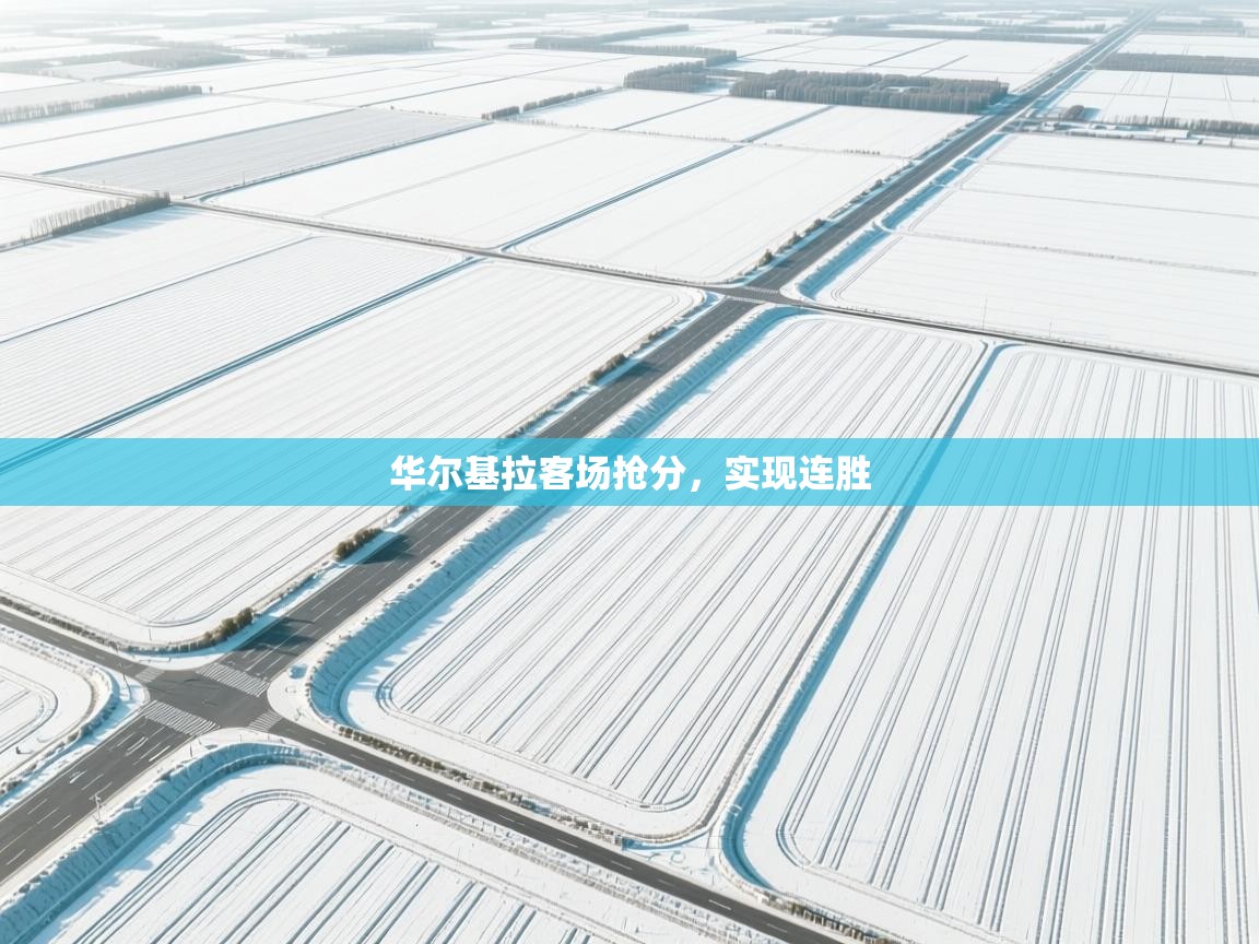 欢娱游戏平台-华尔基拉客场抢分，实现连胜  第3张