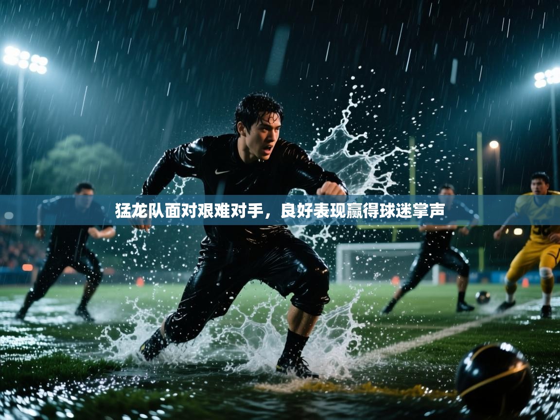 爱游戏直播-猛龙队面对艰难对手，良好表现赢得球迷掌声  第3张