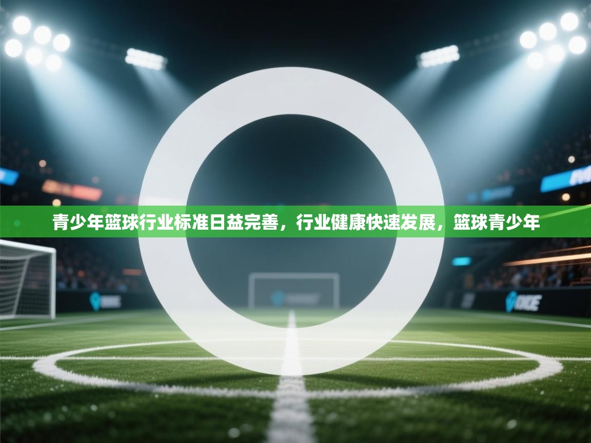 爱游戏体育在线app-青少年篮球行业标准日益完善,行业健康快速发展,篮球青少年 第2张