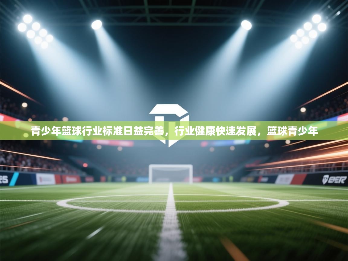 爱游戏体育在线app-青少年篮球行业标准日益完善,行业健康快速发展,篮球青少年 第4张