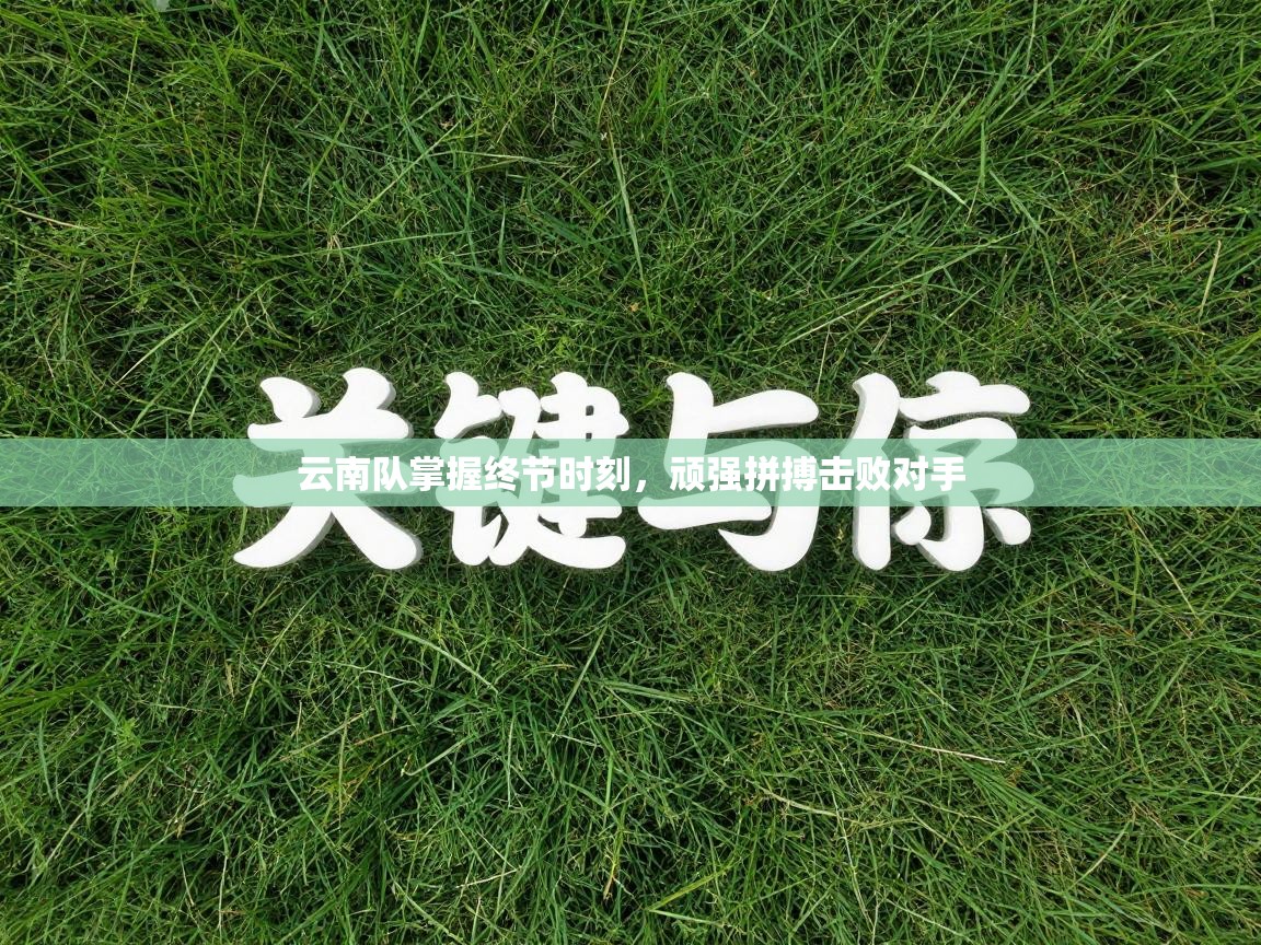 爱游戏体育娱乐赞助罗马-云南队掌握终节时刻，顽强拼搏击败对手  第1张